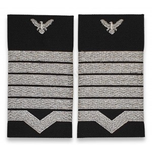 Grade Maistru militar principal IGAV