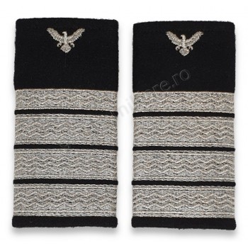 Grade Plutonier Adjutant Principal IGAV