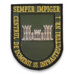 Emblema Centrul de Domenii si Infrastructuri nr.1
