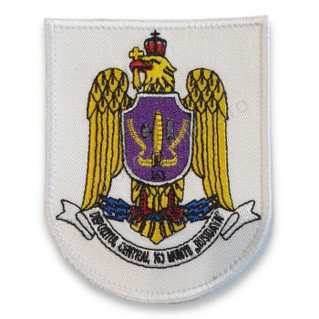 Emblema Depozitul Central 163 Munitii Emblema Depozitul Central 163 Munitii