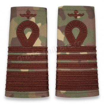 Grade Colonel Parasutist combat forte terestre