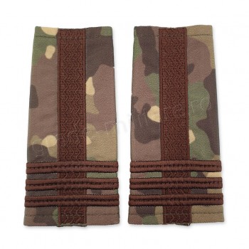 Grade Colonel combat Forte Terestre