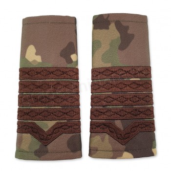 Grade Maistru Militar clasa I combat forte terestre