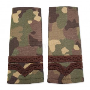 Grade Maistru Militar clasa IV Combat Forte Terestre Grade Maistru Militar clasa IV Combat Forte Terestre