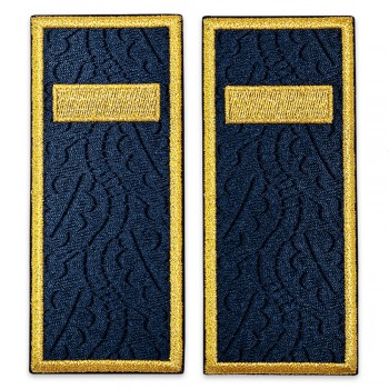 Grade agent penitenciar, Grade ANP 12x5 cm