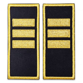 Grade agent sef adjunct penitenciar, ANP - simplu