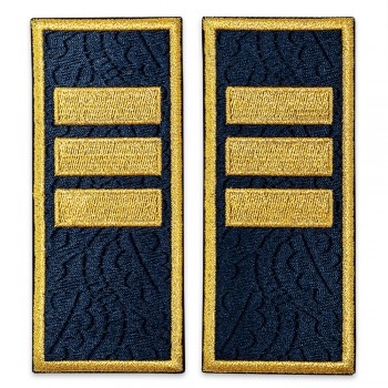 Grade agent sef adjunct penitenciar, grade ANP