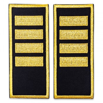 Grade agent sef penitenciar, grad ANP - simplu