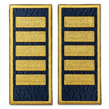 Grade agent sef principal penitenciar, grade ANP