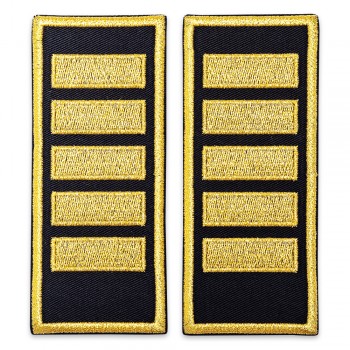 Grade agent sef principal penitenciar ANP simplu