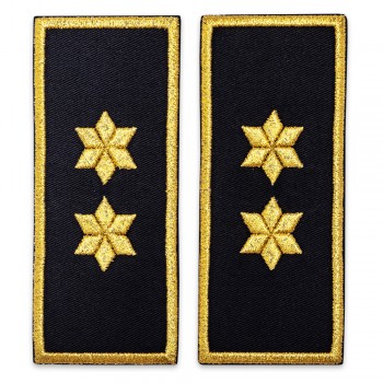 Grade Comisar penitenciar, grad ANP -simplu