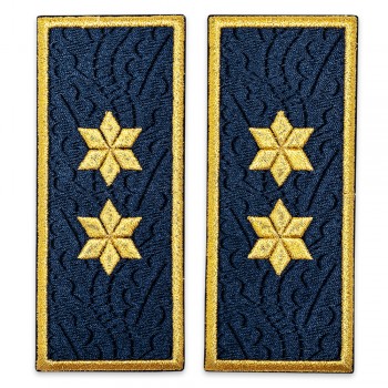 Grade Comisar penitenciar, ANP