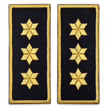 Grade Comisar Sef penitenciar ANP-simplu