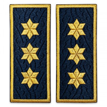 Grade Comisar Sef penitenciar, ANP