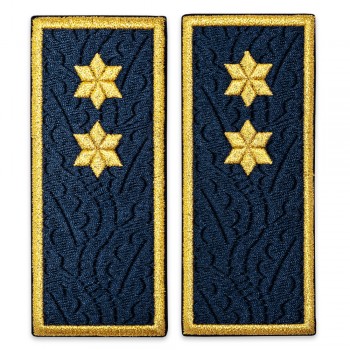 Grade inspector penitenciar, ANP