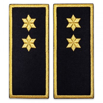 Grade inspector penitenciar, ANP - simplu