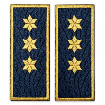 Grade inspector principal penitenciar, ANP