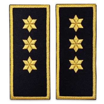 Grade inspector principal penitenciar, ANP-simplu