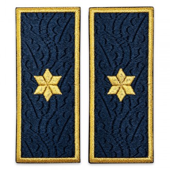 Grade subcomisar penitenciar, ANP