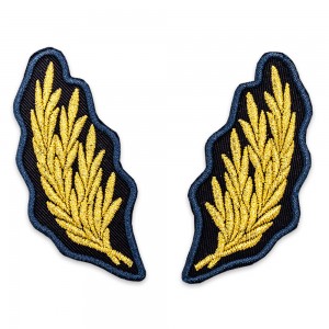 Petlite ofiteri superiori penitenciar ANP