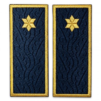 Grade subinspector penitenciar, ANP