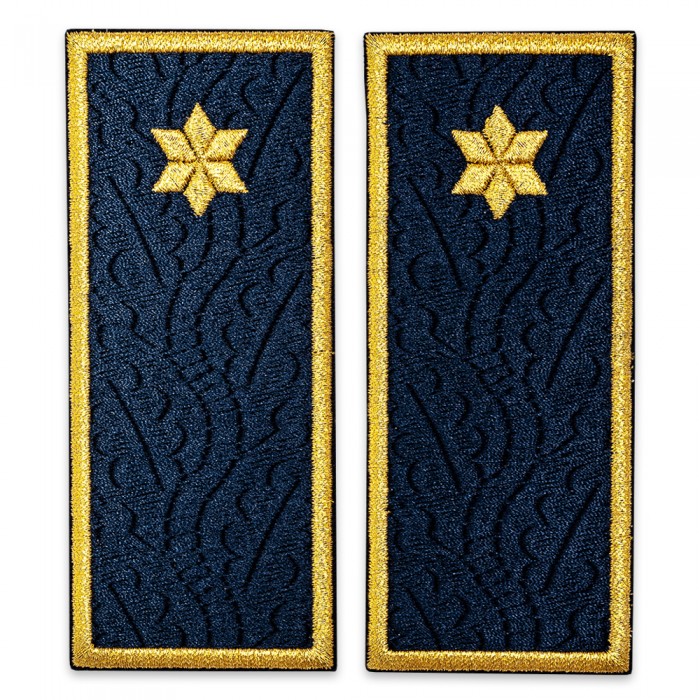 Grade subinspector penitenciar, ANP Grade subinspector penitenciar, ANP