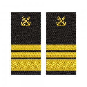 Grade Căpitan Specialist ANR – Până la 6 Ani Experiență model vechi