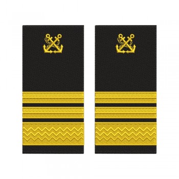 Grade Căpitan Specialist ANR – Până la 6 Ani Experiență model vechi