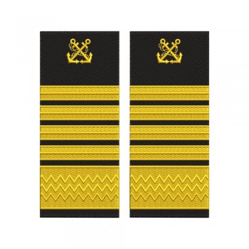 Grade Director adjunct capitanie zonala ANR model vechi