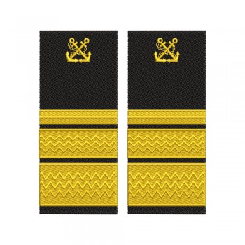 Grade Director directie - Director capitanie zonala  ANR- model vechi