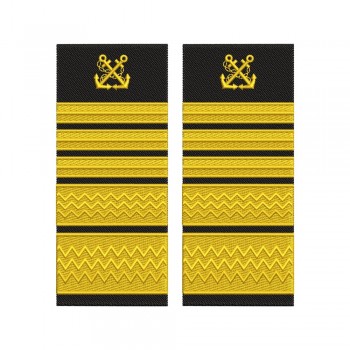 Grade Director General  ANR model vechi