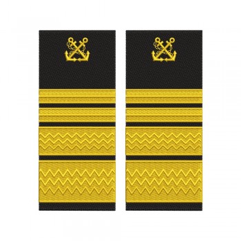 Grade Director General Adjunct  ANR model vechi