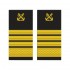Grade Sef Serviciu -  Capitan sef de port ANR - model vechi