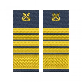 Grade Director adjunct capitanie zonala  ANR