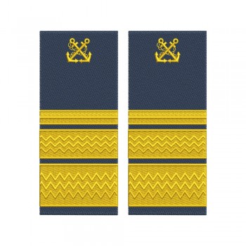 Grade Director directie - Director capitanie zonala  ANR