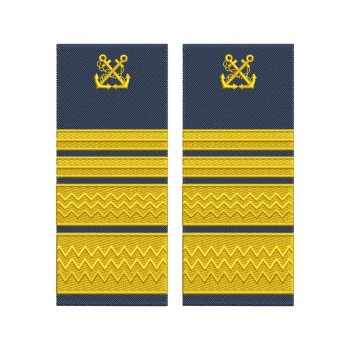 Grade Director General Adjunct  ANR