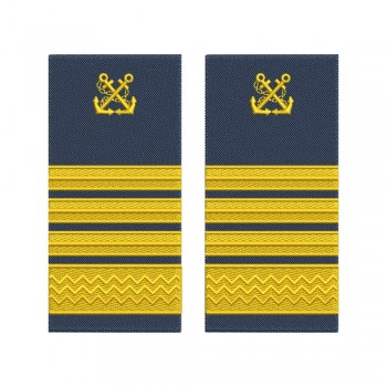 Grade Sef Serviciu - Capitan sef de port ANR