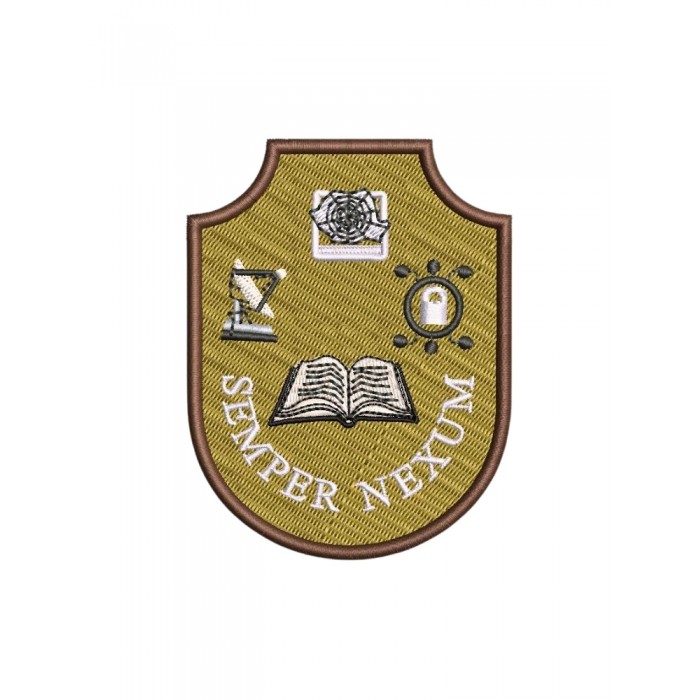 emblema brodata scoala instruire comunicatii tehnologia informatiei aparare cibernetica mapn