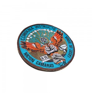 Emblema Compania Instructie Emblema Compania Instructie