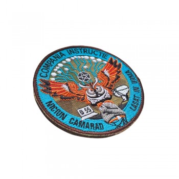 Emblema Compania Instructie