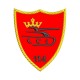 emblema brodată batalionul 114 tancuri petru cercel kaki roșu bej 80x65 mm scai
