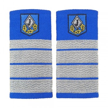 Grade Plutonier Adjutant Sef jandarmi