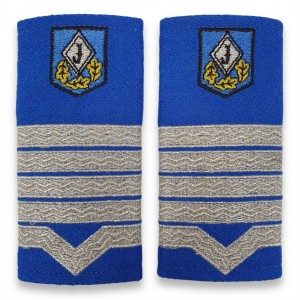 Grade Maistru Militar clasa I jandarmi