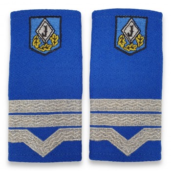 Grade Maistru Militar clasa III jandarmi