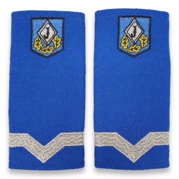 Grade Maistru Militar clasa V jandarmi