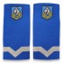 Grade Maistru Militar clasa V jandarmi