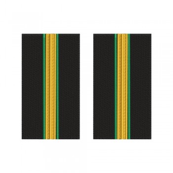 Grade brodate – marina comerciala - Cadet electrician