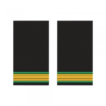 Grade brodate – marina comerciala - Electrician clasa a IV-a