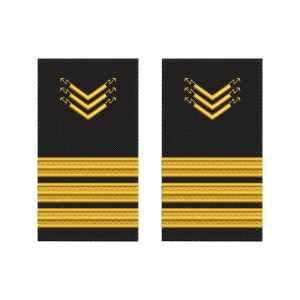 Grade brodate – marina comerciala -  Electro-Technical Officer/Ofiter electrician de bord