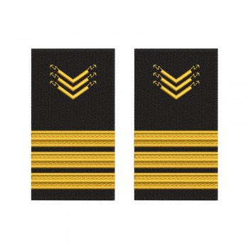 Grade brodate – marina comerciala -  Electro-Technical Officer/Ofiter electrician de bord